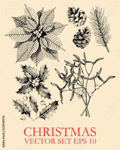 Vector set with hand drawn Christmas plants