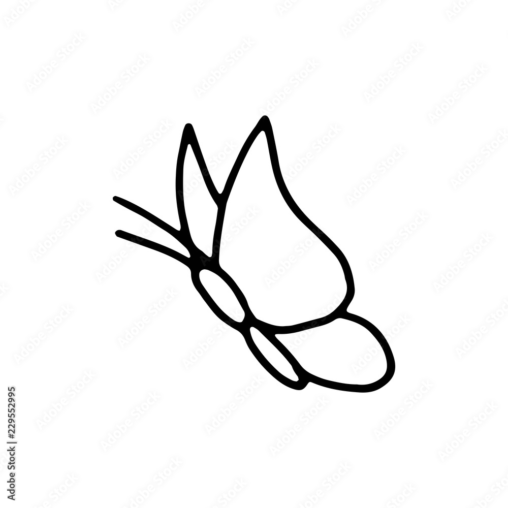 butterfly moth insect icon drawing isolated object on white background butterfly moth insect icon drawing isolated object on white background