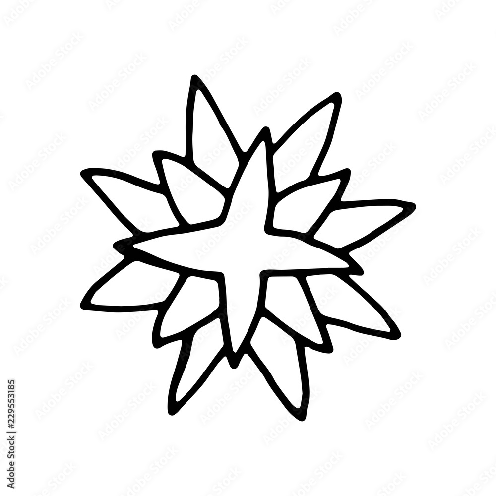 botanical flower garden element icon. hand drawing isolated object botanical flower garden element icon. hand drawing isolated object