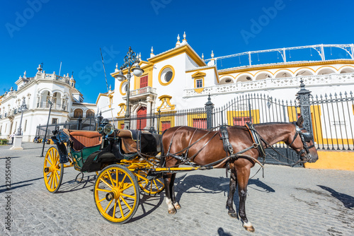 Horse carriage in Seville, Spain.