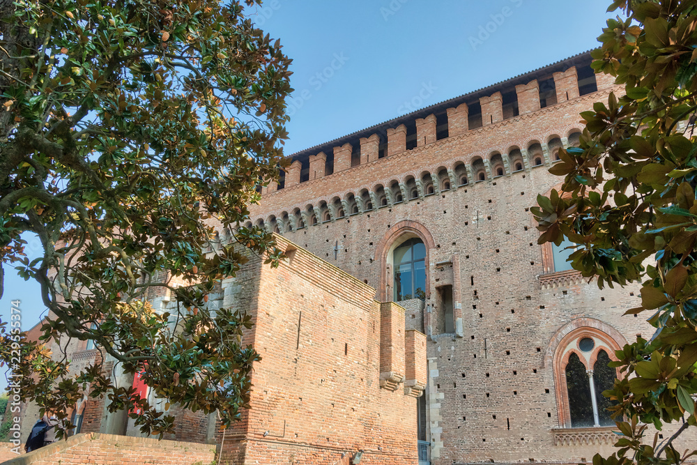 Particolari del castello di Pavia
