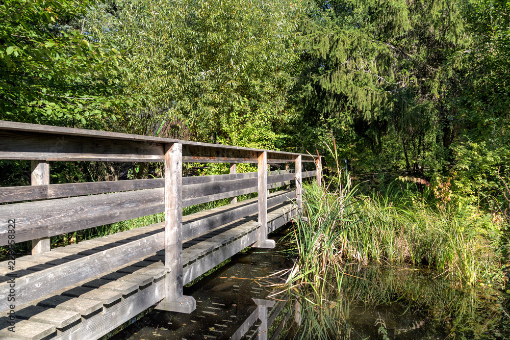 wooden bridge in the thickets