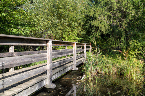 wooden bridge in the thickets