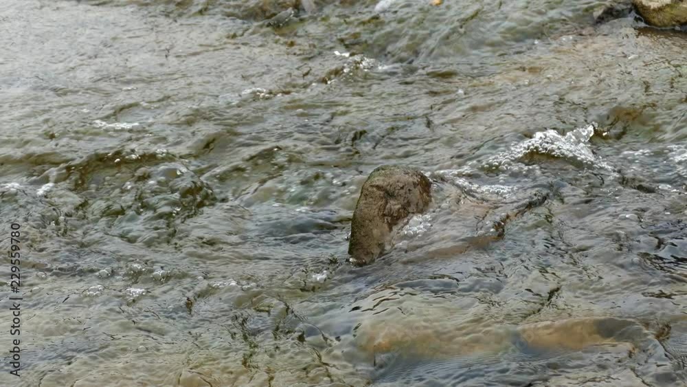 A shallow mountain river with a stone bed. A shallow mountain river with a stone bed.