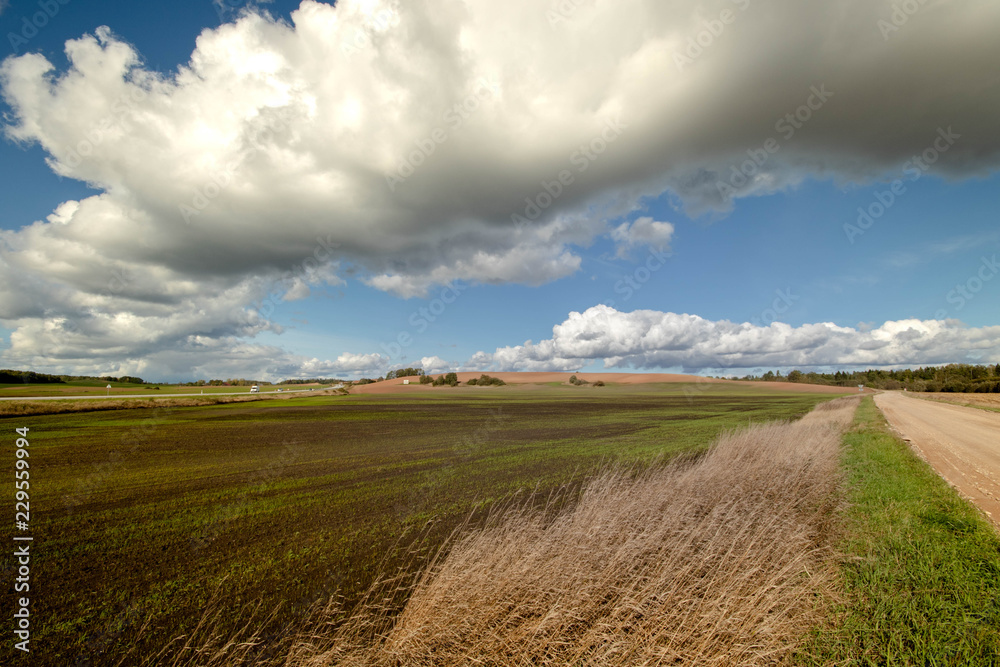 rural road in the field rural road in the field