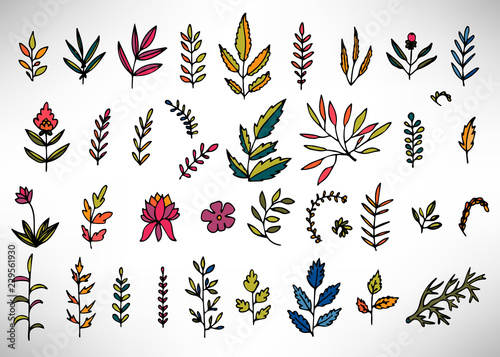 Floral Set of colorful hand drawn grunge floral elements  tree branch  bush  plant  leaves  flowers  branches petals isolated on white. Collection of flourish elements for design. Vector illustration.