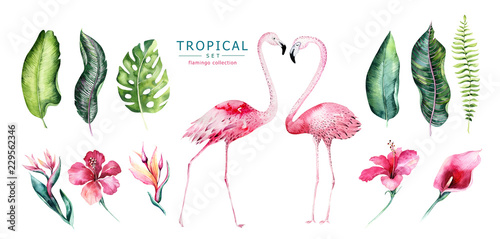 Hand drawn watercolor tropical birds set of flamingo. Exotic rose bird illustrations, jungle tree, brazil trendy art. Perfect for fabric design. Aloha collection.