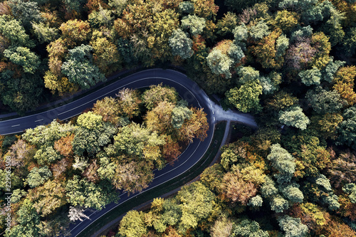 curved street between autumn forest aerial drone view from above  dji