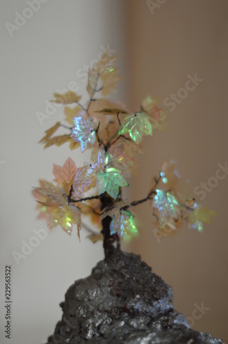 leaf, tree, nature, abstract, plant,