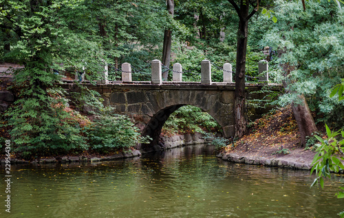 stone bridge on the river in autumn