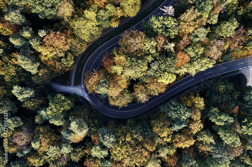 curved street between autumn forest aerial drone view from above, dji © visualitte