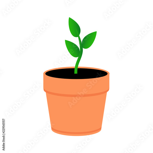 A young plant in an orange pot. Green leaves sprout in pot. Flat style.