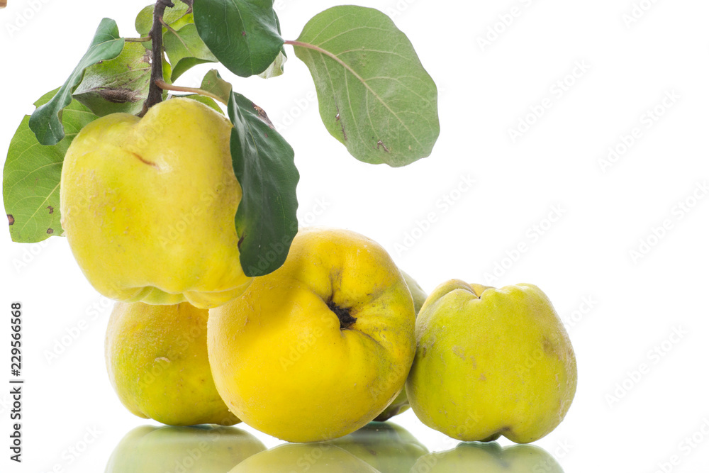 ripe fruit quince isolated on white background