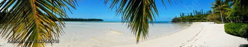 Fototapeta Naklejka Na Ścianę i Meble -  Beach holiday chairs water birds vacation coconuts people