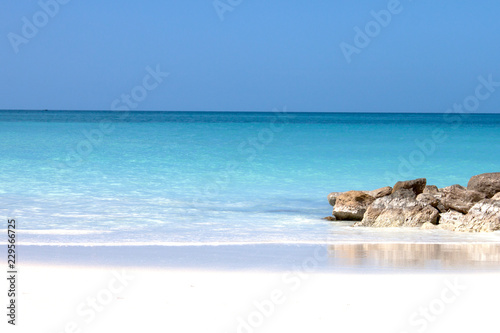 Beach holiday chairs water birds vacation coconuts people