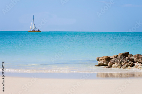 Photography Beach holiday chairs water birds vacation coconuts people