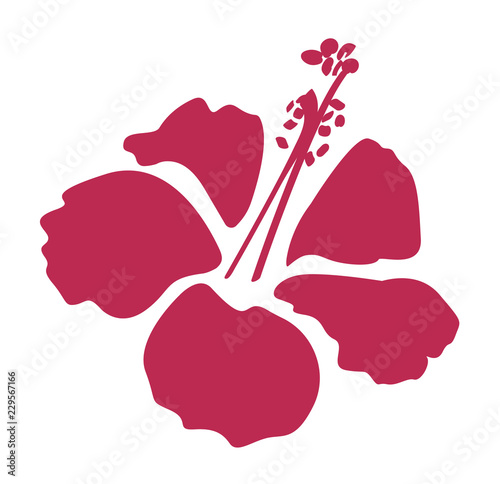 Hibiscus Flower Shape