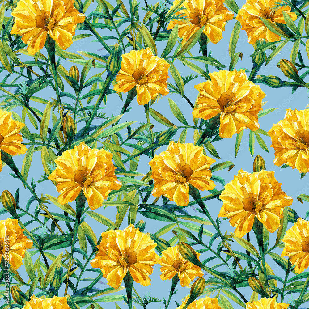 Seamless pattern of marigolds painted in watercolor. Seamless pattern of marigolds painted in watercolor.