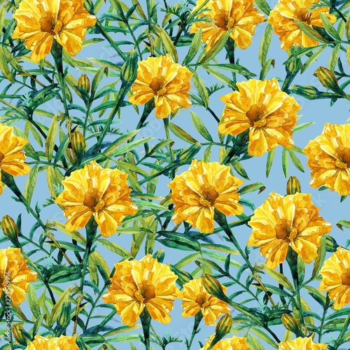 Seamless pattern of marigolds painted in watercolor.