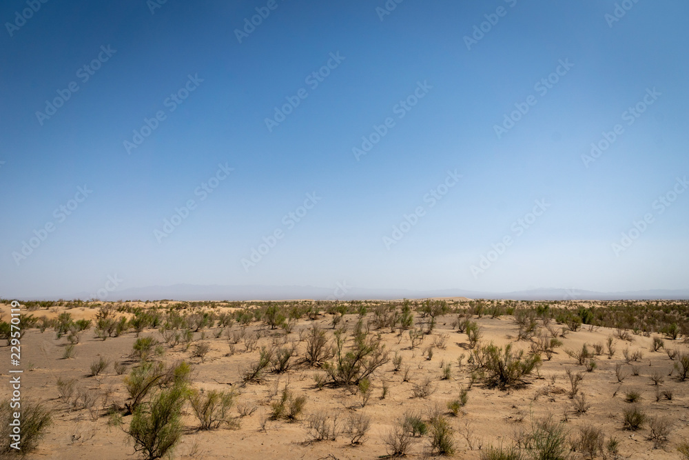 desert landscape view near Yazd in Iran