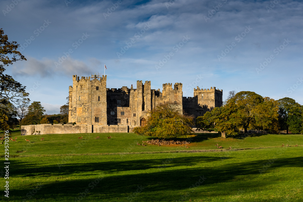 Raby Castle