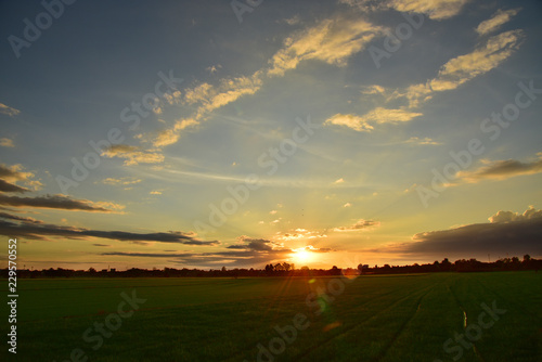 rice in field and sunset sky background © Jaran