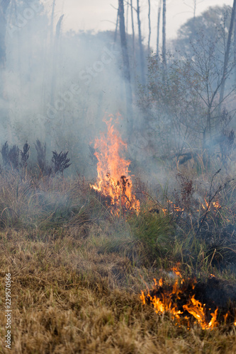 Fire at the Swamp © Caroline