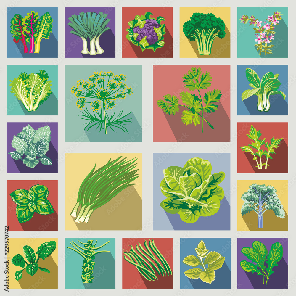 flat icons square vegetables
