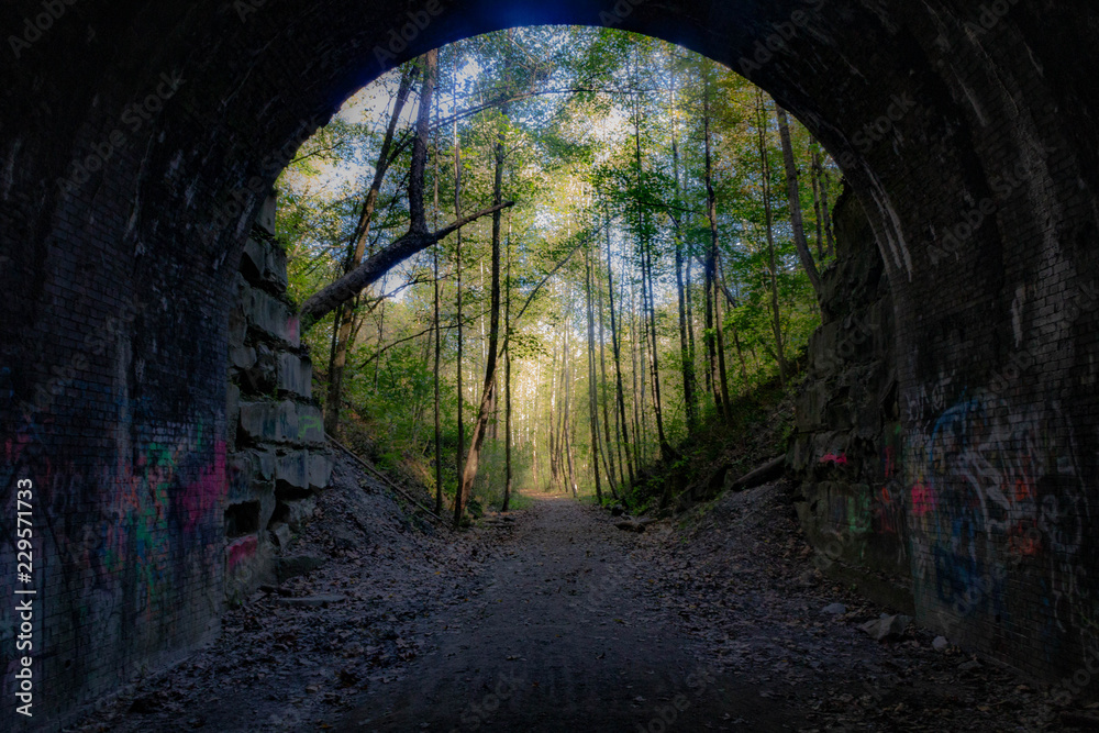 view from the center of an abandoned railroad tunnel