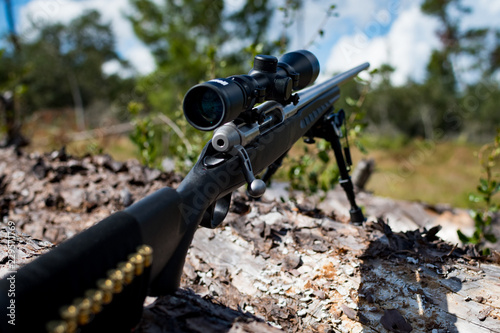 Hunting rifle on bipod resting on downed tree