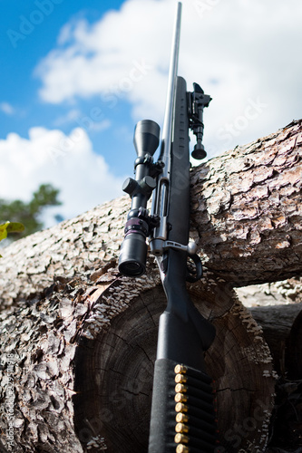 Hunting rifle laying with bullets on stock laying against a downed tree