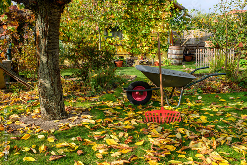 фотографія Herbst - Gartenarbeit