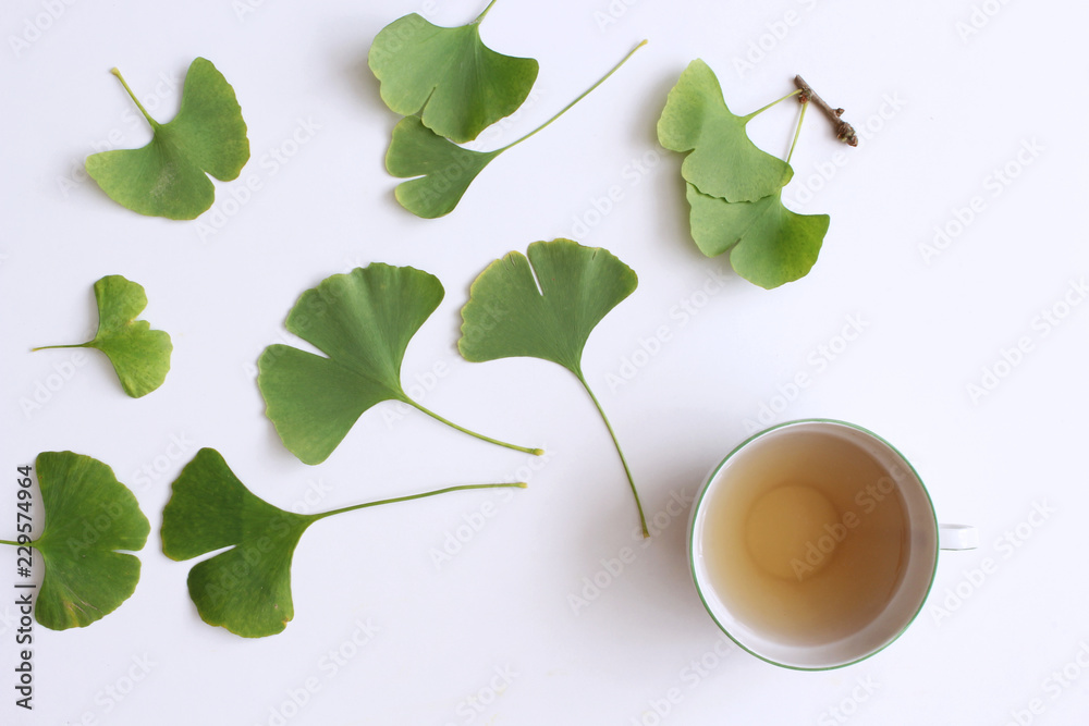 Ginkgo Biloba Tea
