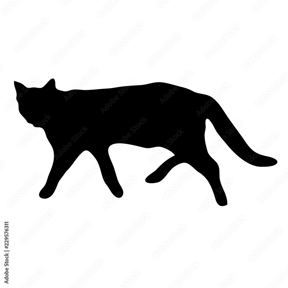 Black silhouette of a walking cat.