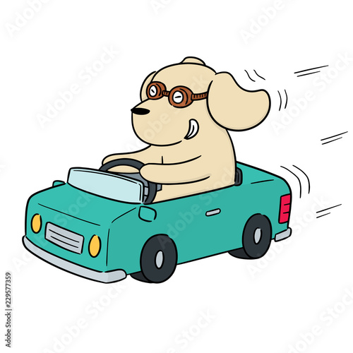 vector of dog driving car