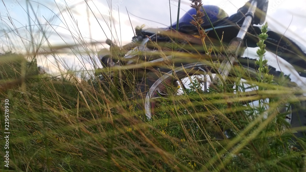 tractor in a field