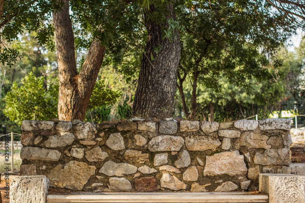 stone bench under tree in outdoor park environment, south country in Mediterranean district and warm weather stone bench under tree in outdoor park environment, south country in Mediterranean district and warm weather