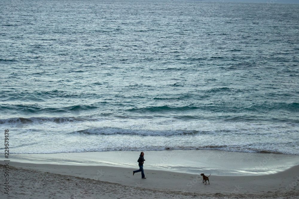 Landscape of a beach a guy and his dog