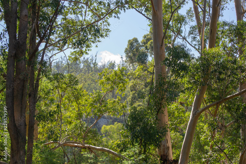 Fototapeta premium Landscape close to serpentine falls in Perth