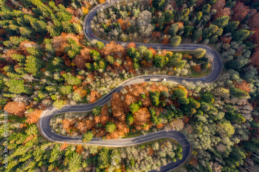 Winding road trough the forest in the autumn. Aerial photography