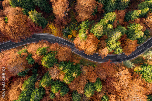 Transfagarasan winding road in the fall © Calin Stan