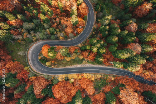 Curved winding road surrounded by forest in the Carpathian Mountains