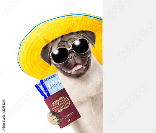 Fototapeta Naklejka Na Ścianę i Meble -  Funny puppy with summer hat and sunglasses holds airline tickets and passport above white banner. isolated on white background