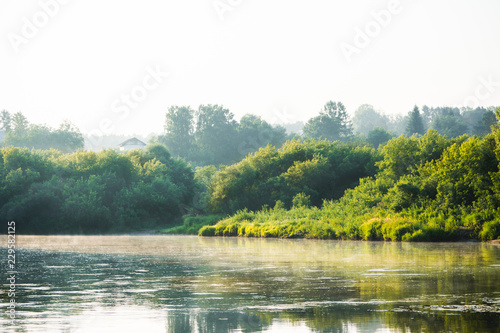 Morning on the calm river with forest on their bank