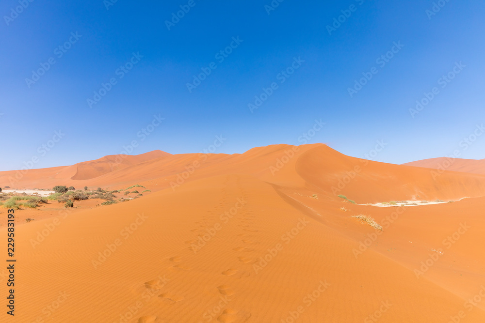 Dunes and blue sky in Deadvlei, Sossusvlei. Namib-Naukluft National Park, Namibia. Dunes and blue sky in Deadvlei, Sossusvlei. Namib-Naukluft National Park, Namibia.