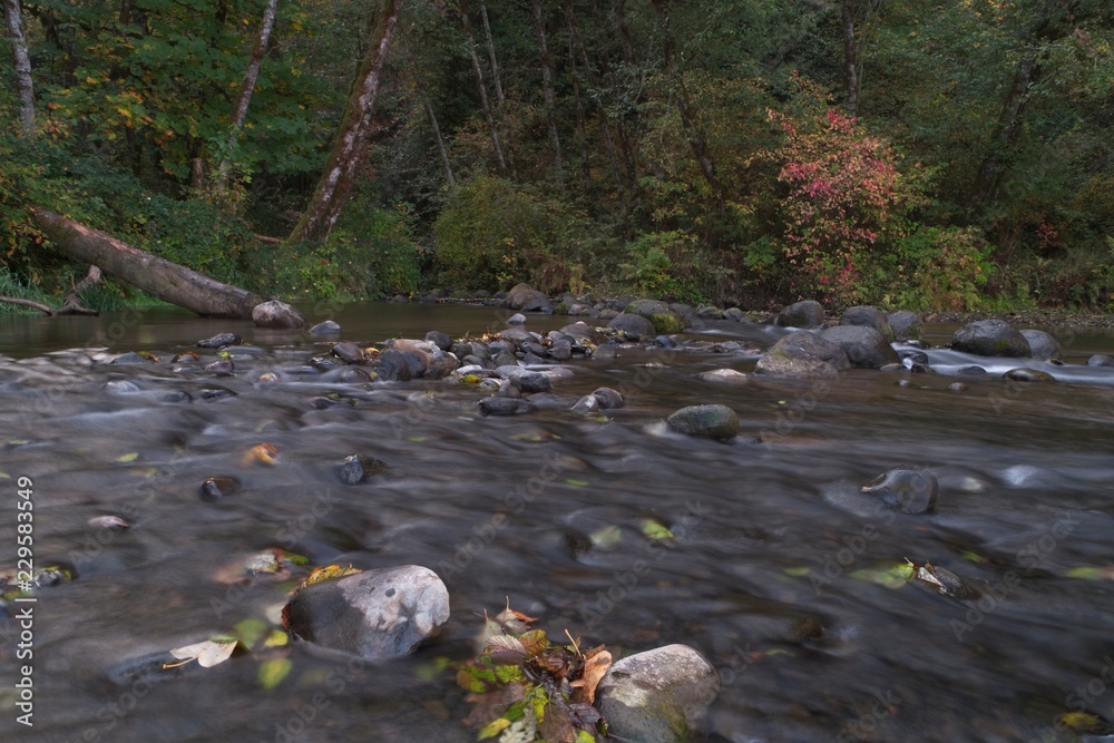 Long exposure photographs of rolling river with fall foliage Long exposure photographs of rolling river with fall foliage