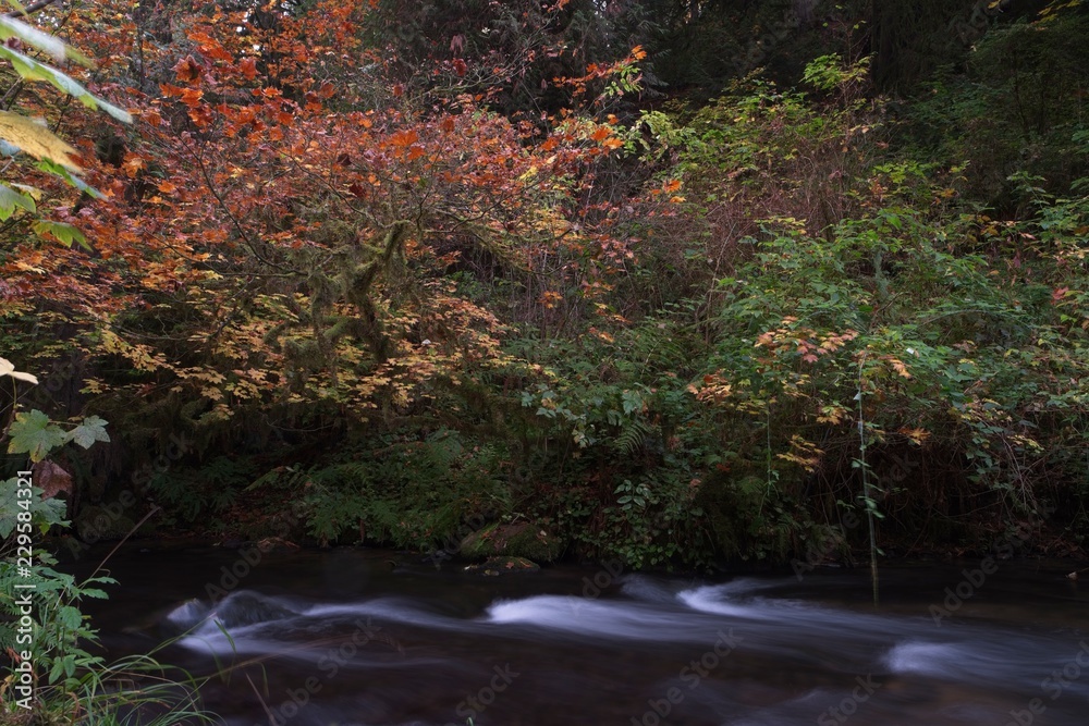 Long exposure photographs of rolling river with fall foliage