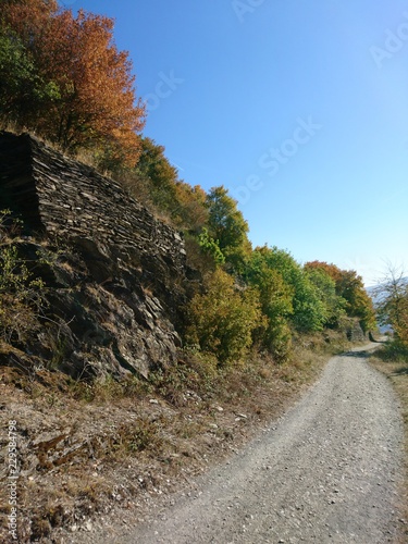 Rheinsteig mit Mauer