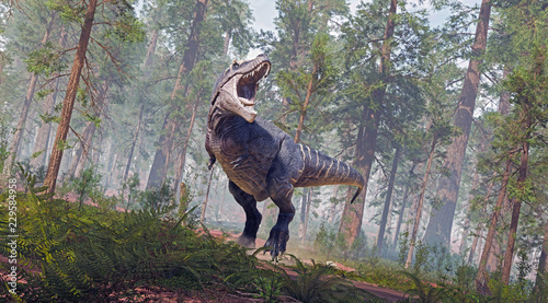 A 3D rendering of Tyrannosaurus Rex roaring in a prehistoric forest. © Herschel Hoffmeyer