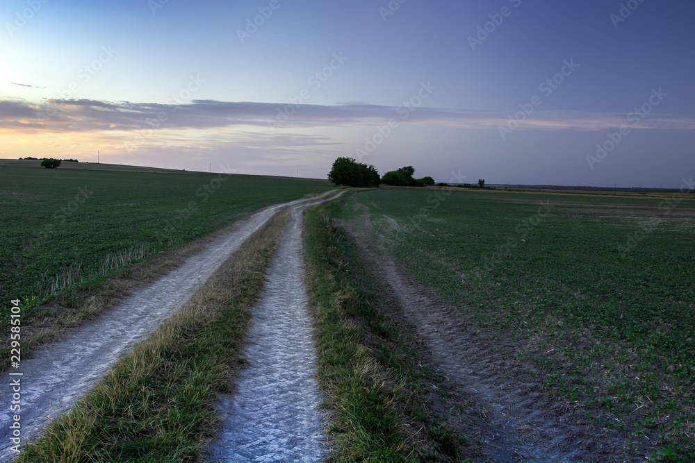 Country road through the fields